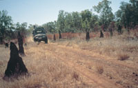 2926-NTTC-Bullita-access-track-Gregory-National-park