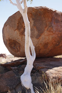 Devils Marbles