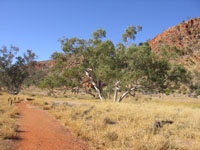 Glen Helen  - Courtesy of the PJB collection to the West MacDonnell ranges from Alice Springs in  Central Australia visit.