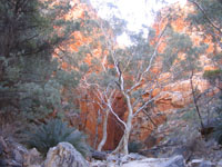 Stanley Chasm