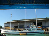 Darwin wharf
