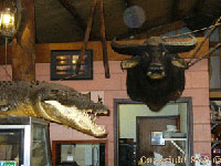 The Bark Hut Inn and Campground on the Arnhem Highway from Darwin to Kakadu National Park in Northern Territory Australia