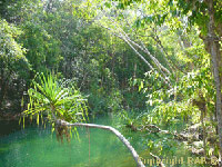 Maguk Barramundi gorge in Kakadu National Park in Northern Territory Australia