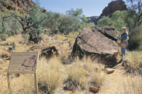 Viewing Petroglyphs at NDhala Gorge Nature Park