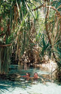 Mataranka hot springs