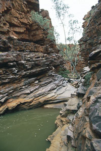 John Hayes rockhole