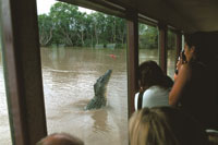 Jumping croc cruise