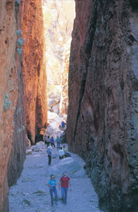 Stanley Chasm Walk