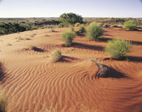 Desert sands