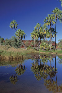 Palm Valley