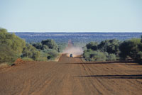 bush track