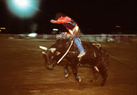 Rodeo